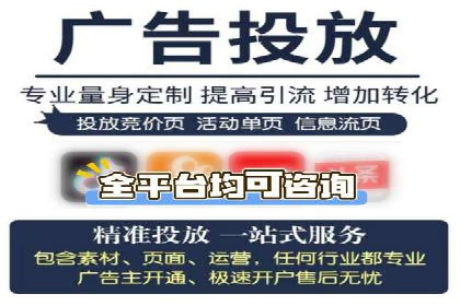 竞价推广策略解析：实战案例分析